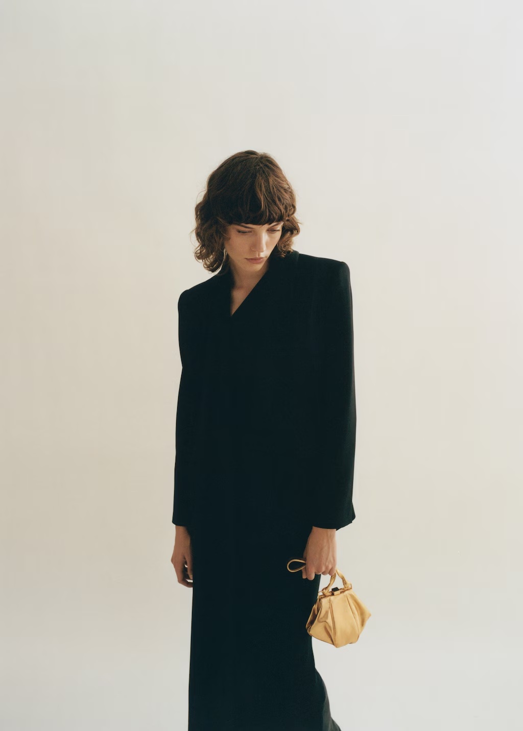 Leather metallic bag