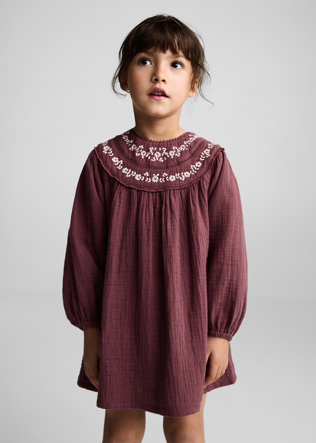 Embroidered cotton dress